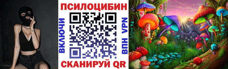 Купить где Воркута Псилоцибиновые грибы Psilocybine cubensis